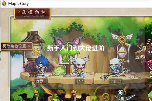 新手入门到大佬进阶