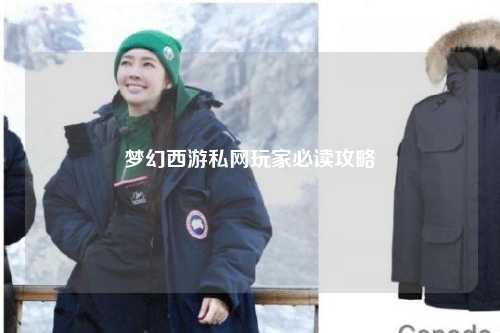 梦幻西游私网玩家必读攻略