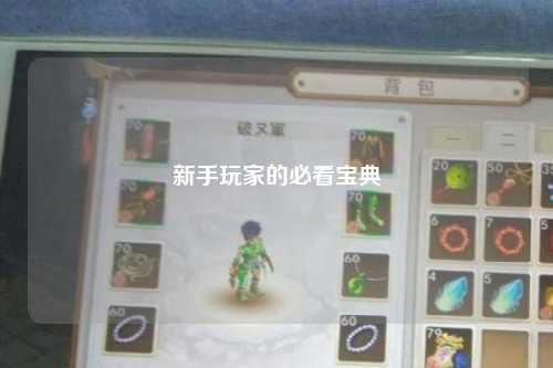 新手玩家的必看宝典