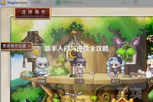 新手入门与进阶全攻略