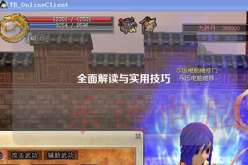 全面解读与实用技巧