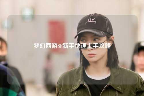 梦幻西游SF新手快速上手攻略