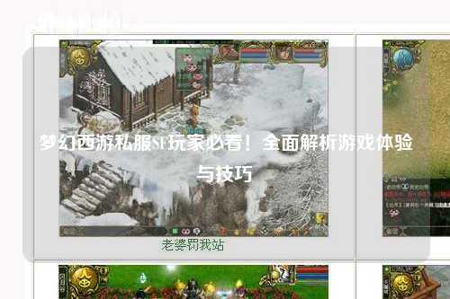 梦幻西游私服SF玩家必看!全面解析游戏体验与技巧