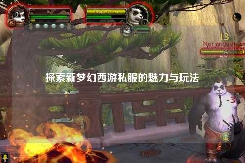 探索新梦幻西游私服的魅力与玩法