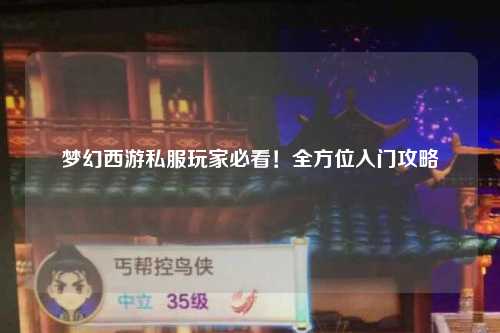 梦幻西游私服玩家必看！全方位入门攻略