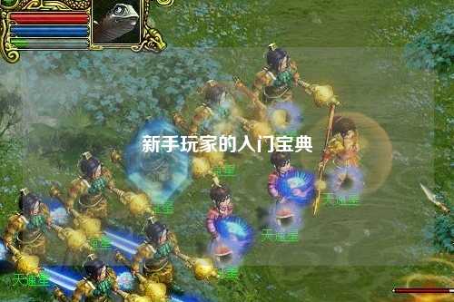 新手玩家的入门宝典