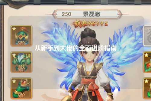 从新手到大佬的全面进阶指南