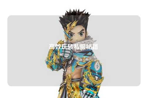 高效玩转私服秘籍