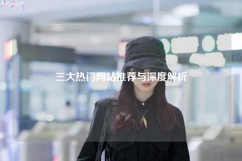 三大热门网站推荐与深度解析