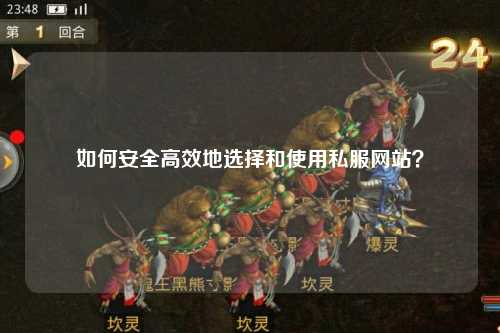 如何安全高效地选择和使用私服网站?