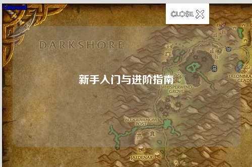 新手入门与进阶指南