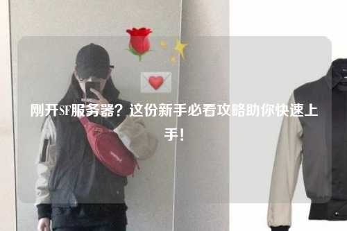 刚开SF服务器？这份新手必看攻略助你快速上手！