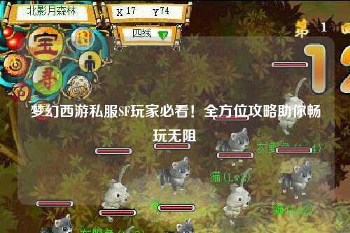 梦幻西游私服SF玩家必看！全方位攻略助你畅玩无阻