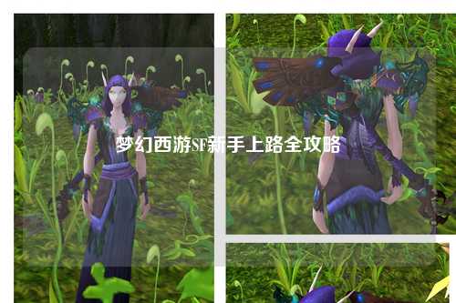 梦幻西游SF新手上路全攻略