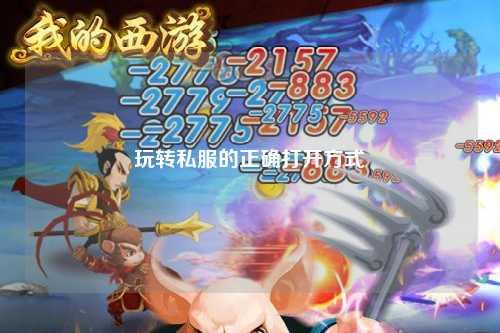 玩转私服的正确打开方式