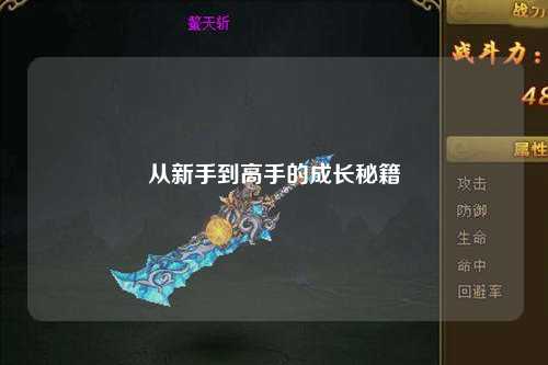 从新手到高手的成长秘籍