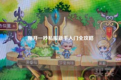 刚开一秒私服新手入门全攻略