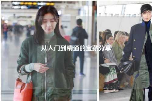 从入门到精通的宝藏分享