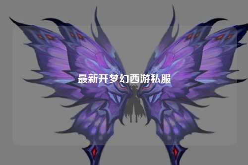 最新开梦幻西游私服