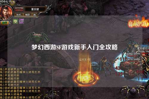 梦幻西游SF游戏新手入门全攻略