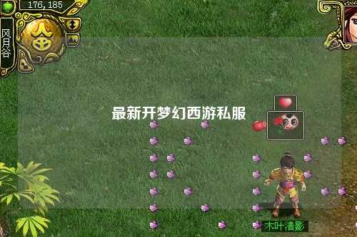 最新开梦幻西游私服
