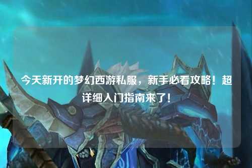 今天新开的梦幻西游私服，新手必看攻略！超详细入门指南来了！