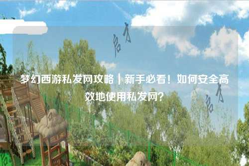 梦幻西游私发网攻略｜新手必看！如何安全高效地使用私发网？