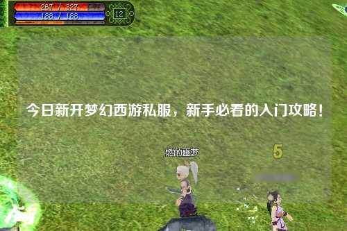 今日新开梦幻西游私服,新手必看的入门攻略!